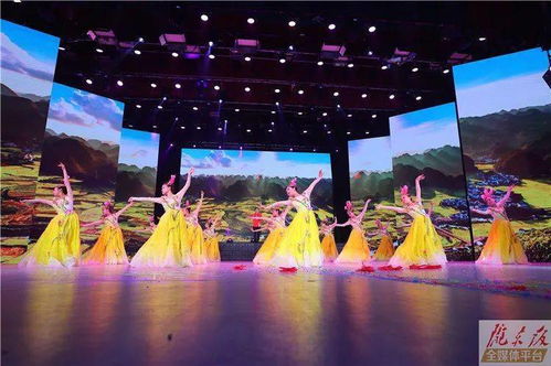 庆阳丰收节 产品展销与文艺演出交织的农民大比武